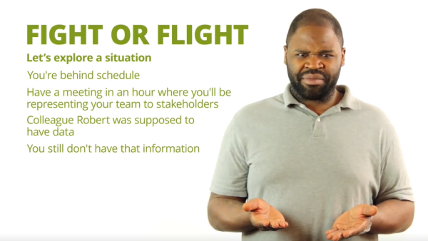 Assert Yourself: Fight or Flight