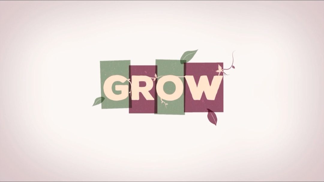 Coaching: The GROW Model
