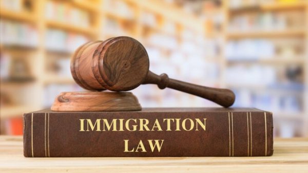 Immigration Law Primer