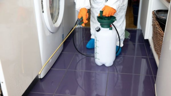 Bed Bug Awareness
