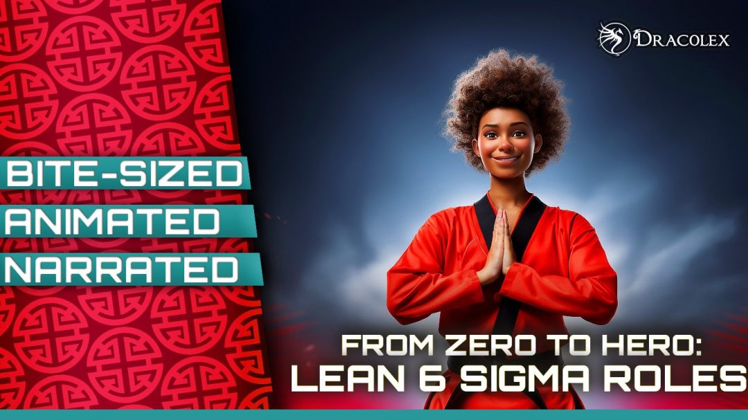 Zero to Hero: Lean Six Sigma Roles