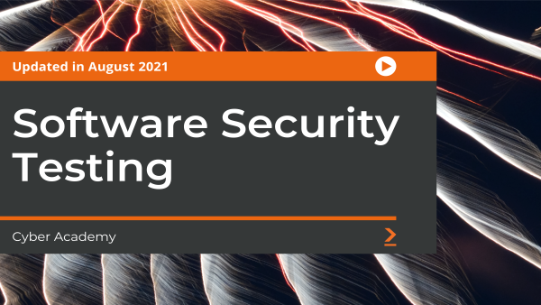 Software Security Testing