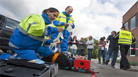 Violence in the Workplace for Emergency Medical Services (EMS)