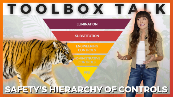 Safety's Hierarchy of Controls