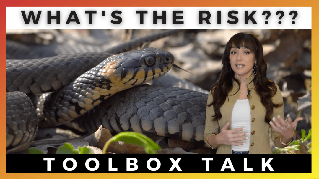 What's the Risk?