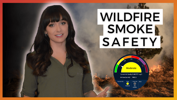 Wildfire Smoke Safety
