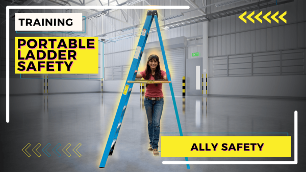 Portable Ladder Safety