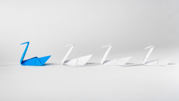 The Power of Following Others in Leadership