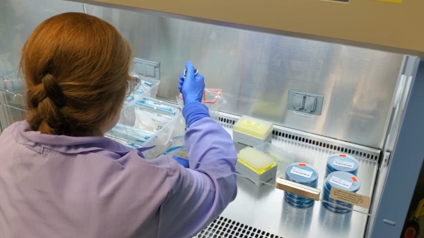 Laboratory Series: Autoclaves and Sterilizers