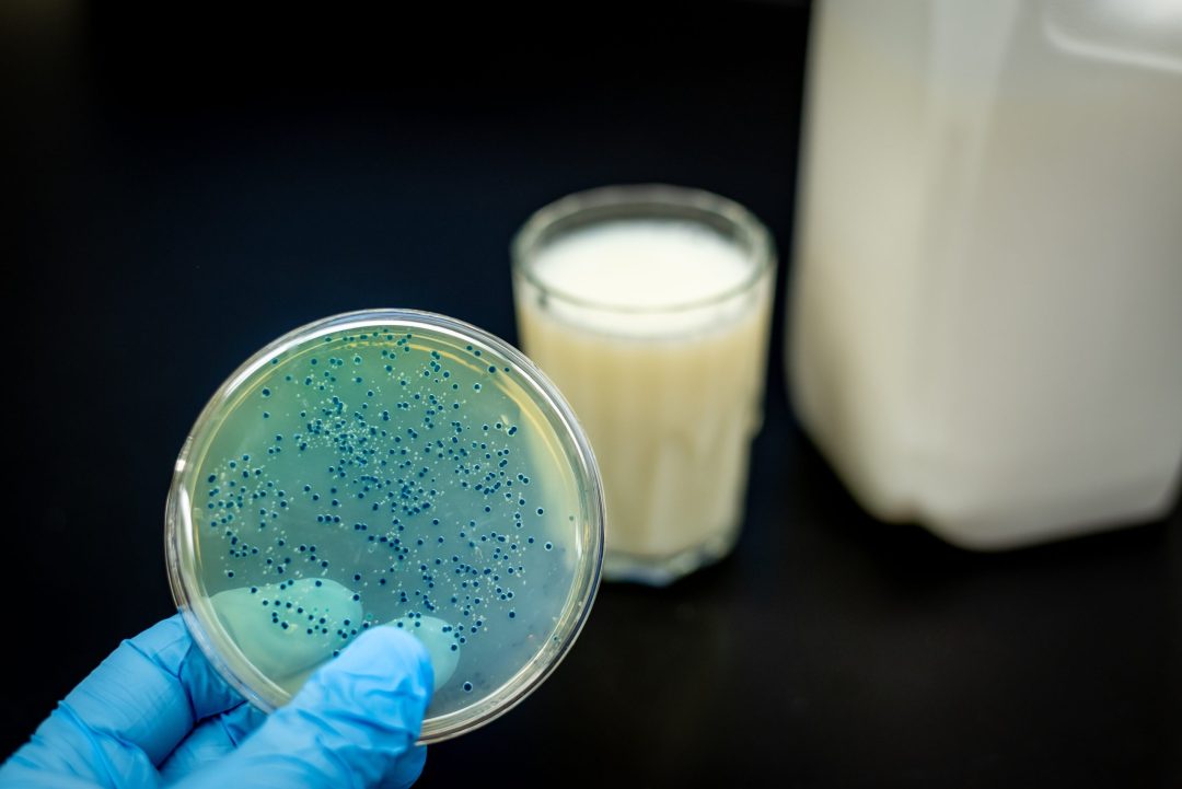 Food Safety - Bacteria: What Causes Bacteria to Grow?