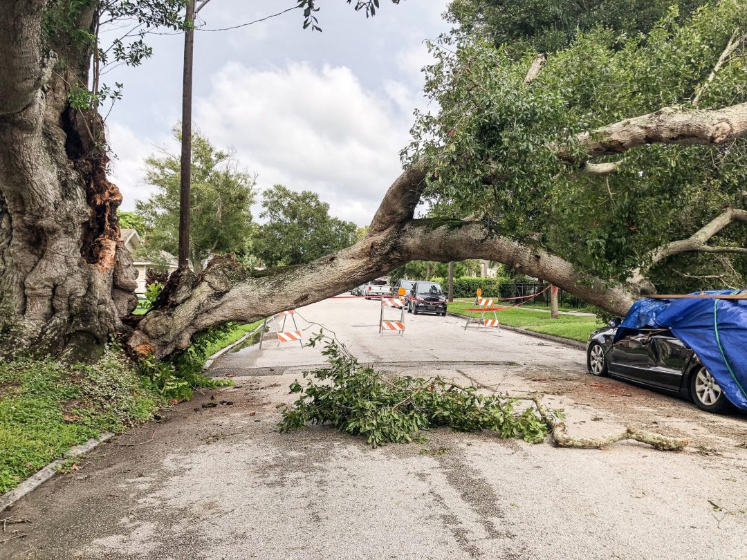 Severe Weather Preparedness ‚– Hurricanes: Staying Safe After a Hurricane