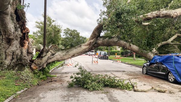 Severe Weather Preparedness ‚– Hurricanes: Staying Safe After a Hurricane