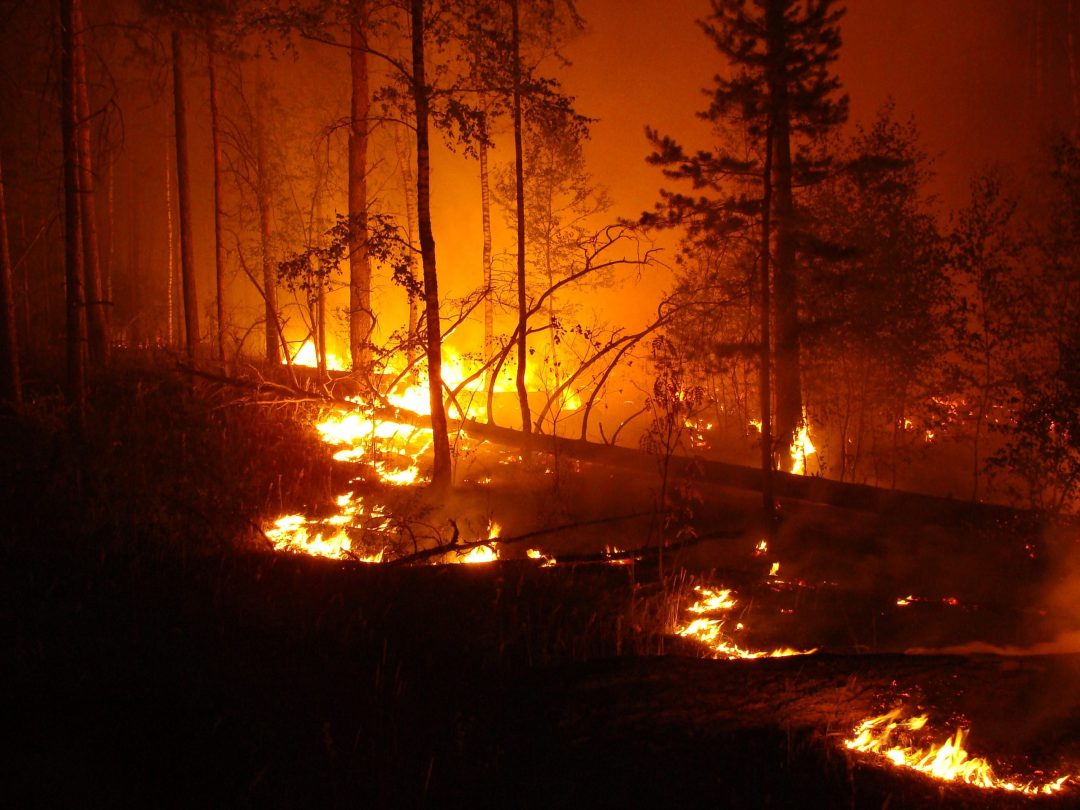 Severe Weather Preparedness ‚– Wildfires: What to do During a Wildfire