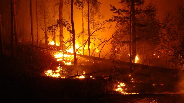 Severe Weather Preparedness ‚– Wildfires: What to do During a Wildfire