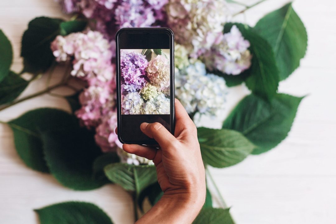 Understanding Smartphone Specifications: Smartphone Cameras