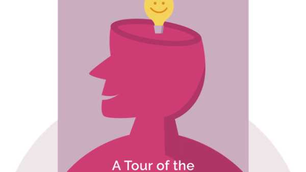 Optimism Bias: A Tour of the Irrationally Positive Brain | Tali Sharot