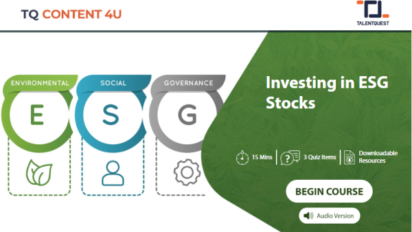 Investing in ESG Stocks