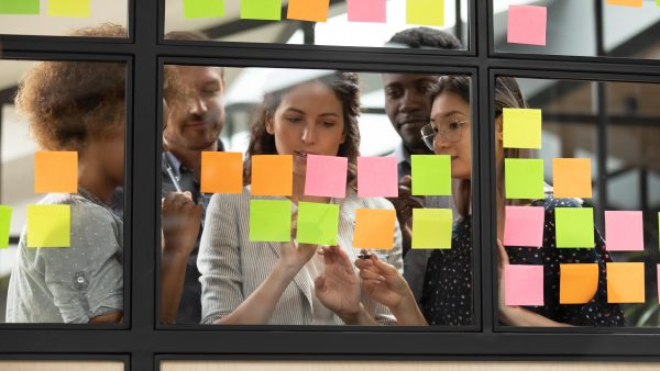 Agile Projects: Developing the Team's Autonomy