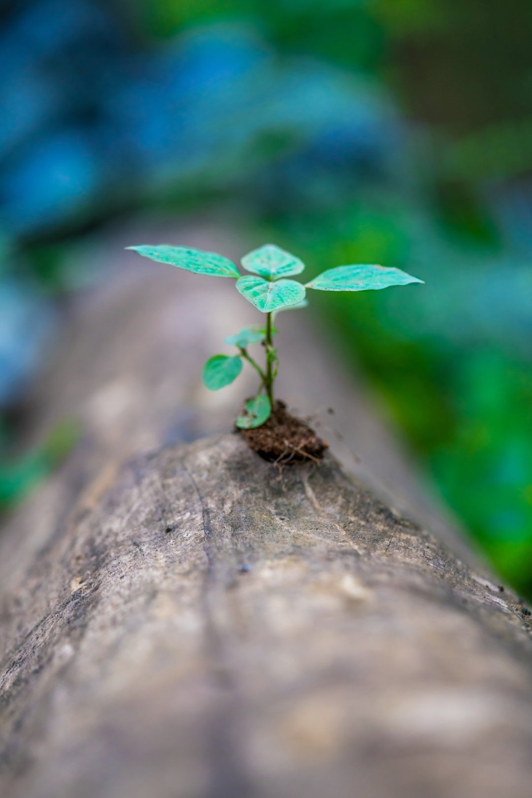 Building Resiliency