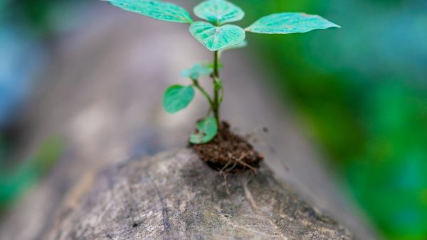 Building Resiliency