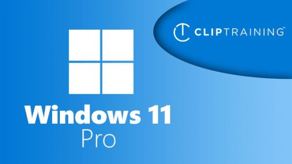 Windows 11 Pro