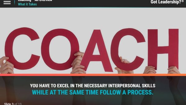 Got Leadership?‚Ñ¢: Coaching - An Overview