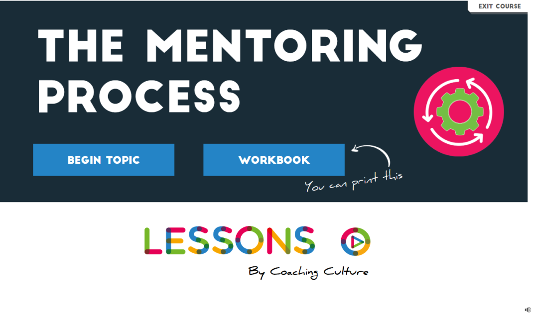 The Mentoring Process
