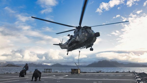 Landing Zone Officer (LZO)