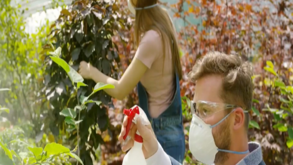 Dibromochloropropane Awareness: What is Dibromochloropropane?