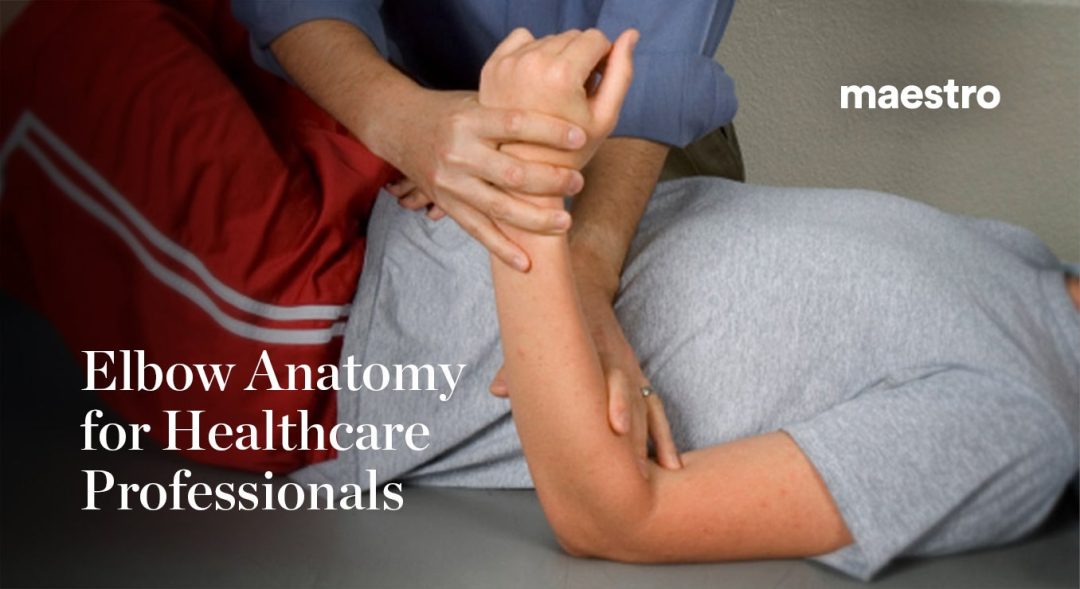 Elbow Anatomy for Healthcare Professionals