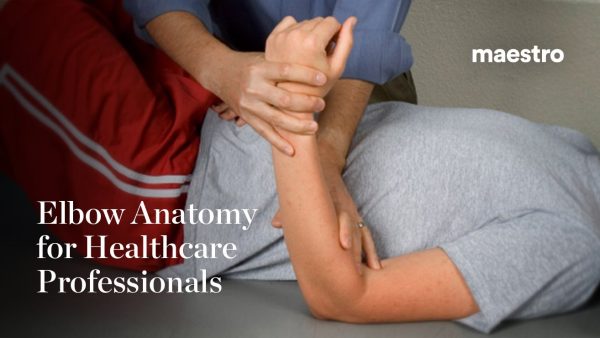 Elbow Anatomy for Healthcare Professionals