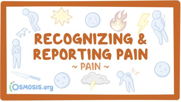 Pain: Recognizing And Reporting Pain