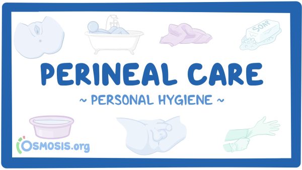 Personal Hygiene: Perineal Care