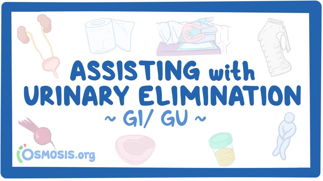 GI/GU: Assisting With Urinary Elimination