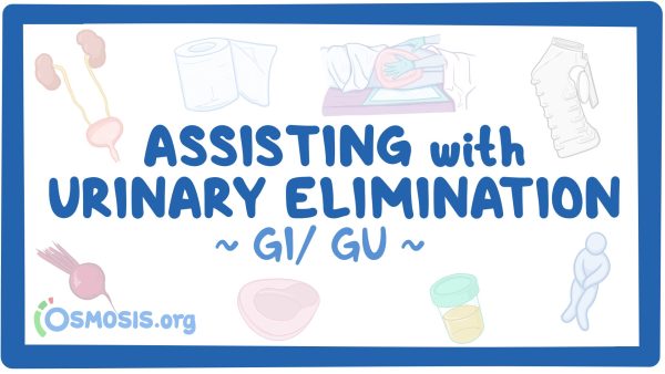 GI/GU: Assisting With Urinary Elimination