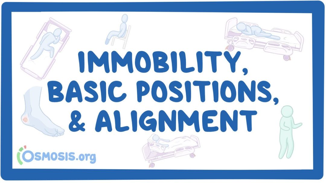 Immobility, Basic Positions And Alignment