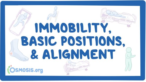 Immobility, Basic Positions And Alignment