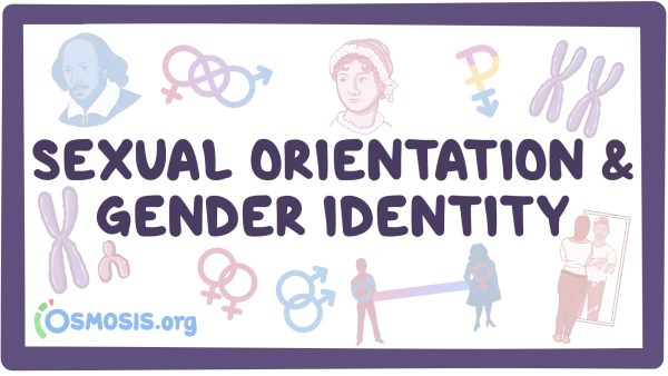 Sexual Orientation And Gender Identity