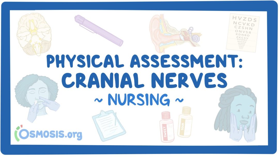 Physical Assessment - Cranial Nerves: Nursing