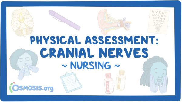 Physical Assessment - Cranial Nerves: Nursing