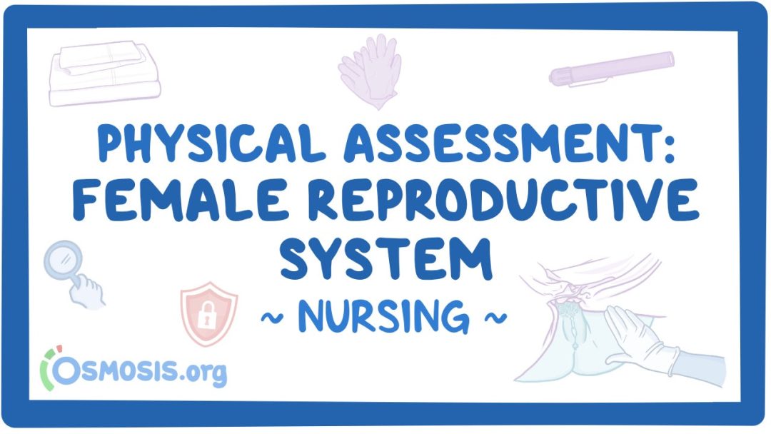 Physical Assessment - Female Reproductive System: Nursing