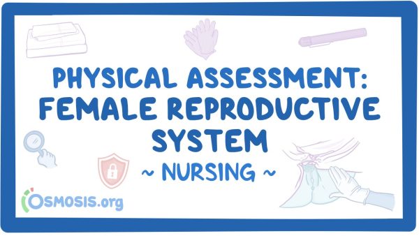 Physical Assessment - Female Reproductive System: Nursing