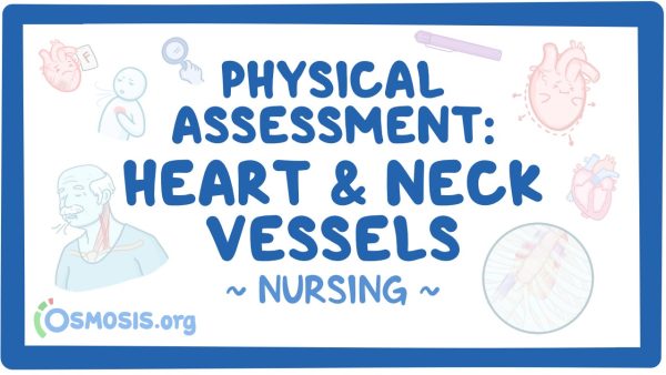 Physical Assessment - Heart & Neck Vessels: Nursing