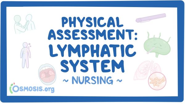Physical Assessment - Lymphatic System: Nursing
