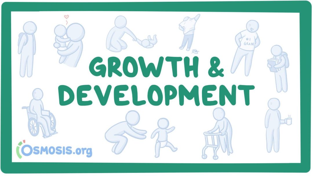 Growth And Development