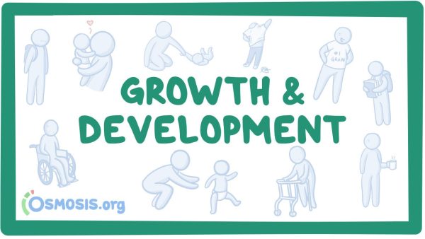Growth And Development