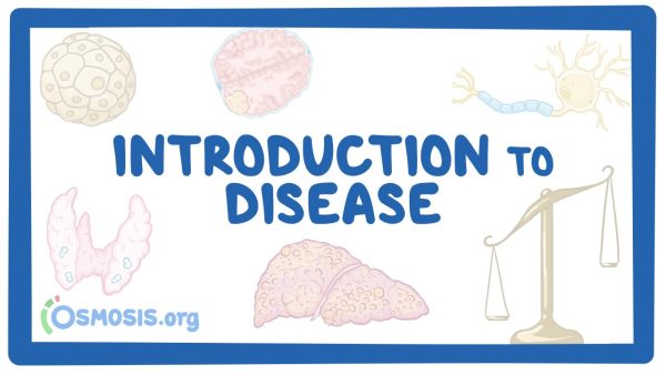 Introduction To Disease