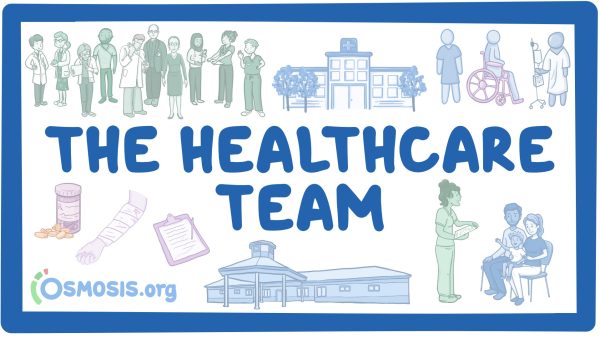 The Healthcare Team