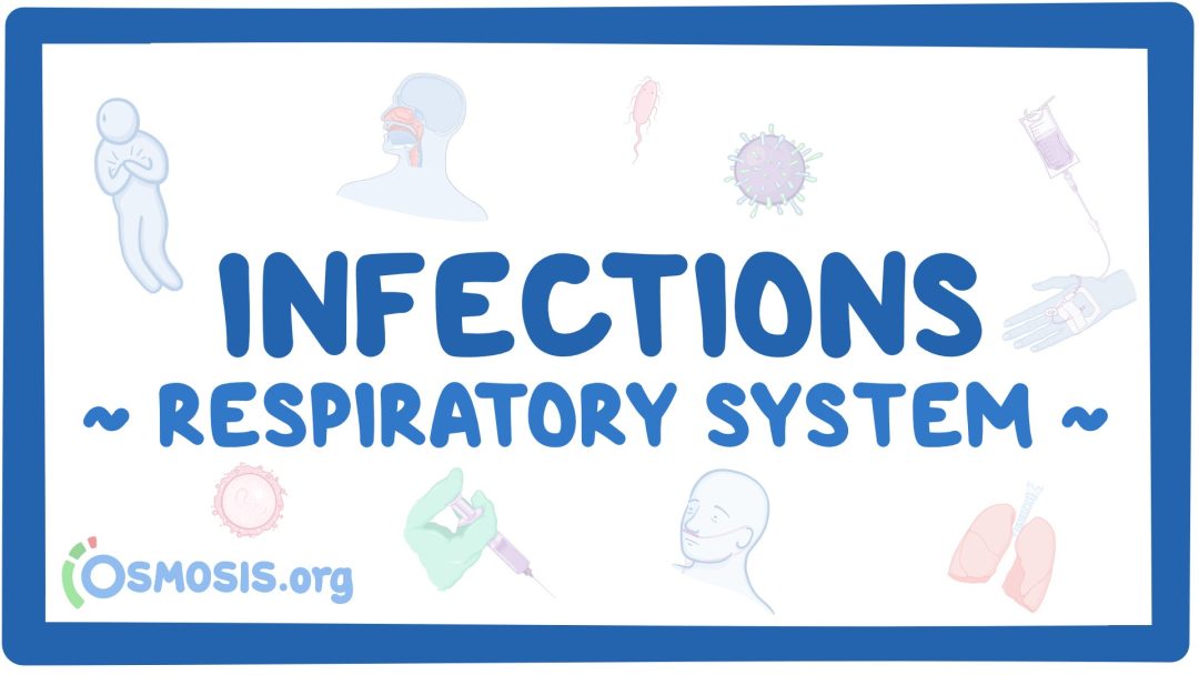 Respiratory System: Infections