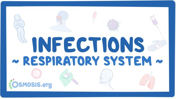 Respiratory System: Infections